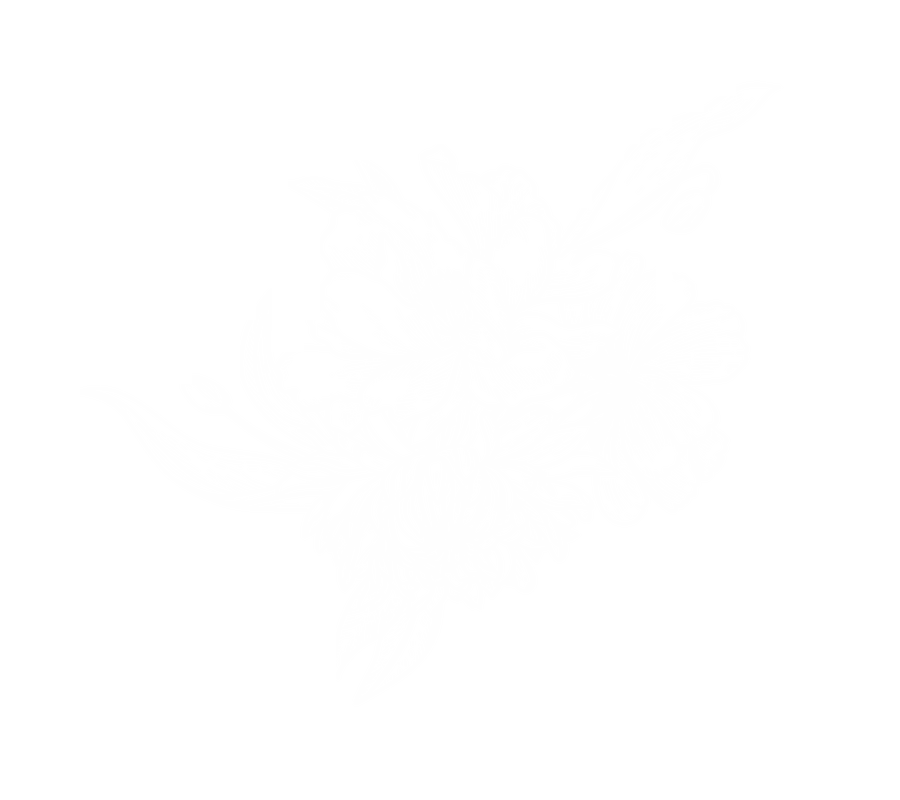 Pour and Decor Logo